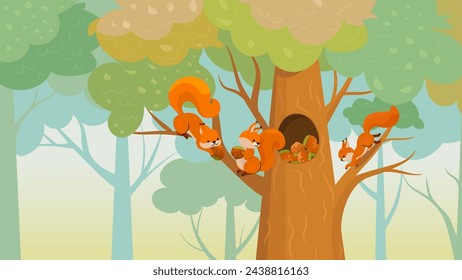 Squirrel in forest storing food and nuts for winter. Cartoon squirrels on tree branch and in hollow. Nature wild animals nowaday vector children illustration