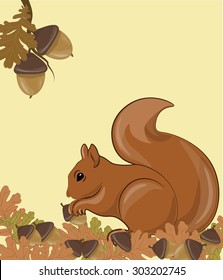 
Squirrel in Forrest. Autumn background with leaves, acorn and mushrooms. Vector
