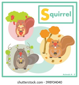 Squirrel with friends in learning English Animal A to Z