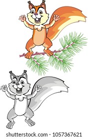 squirrel, funny squirrel, squirrel on a branch
