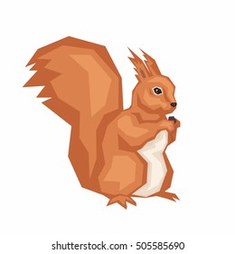 the squirrel gnaws nut. wild forest animal