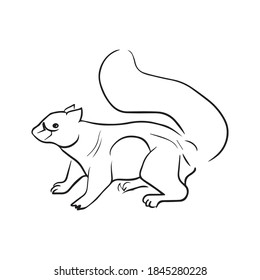 diseño gráfico de ardilla ilustración vectorial, icono, dibujo de tatuajes de arte, logotipo, dibujo a mano, uso en impresión
