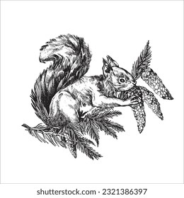 squirrel hand drawn illustration, squirrel drawing, animal, forest, tattoo design, kid drawing