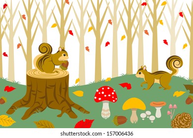 Squirrel Harvesting in autumn  forest
