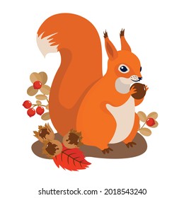 Squirrel with hazelnuts and cranberries in the autumn forest. Vector illustration, white background.