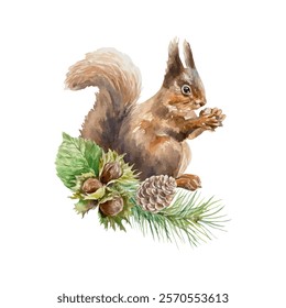 Squirrel with hazelnuts and spruce branch with cone, watercolor. Vector illustration of forest animal. Cards, covers, labels, wildlife protection day.