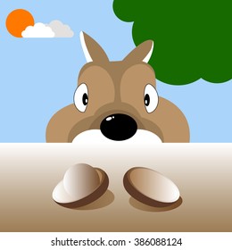 Squirrel hide under table and looking nut for steal. Cartoon steal concept