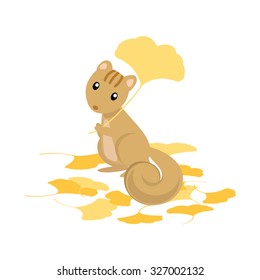 Squirrel holding Ginkgo Leaf