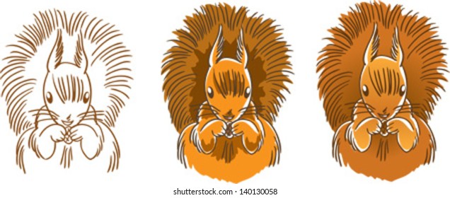 Squirrel holding of the paws a cone. Three versions are available: outline, without gradient and a gradient. Vector illustration. Isolated on white.