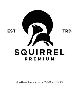 Squirrel icon design illustration template