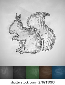 squirrel icon. Hand drawn vector illustration. Chalkboard Design