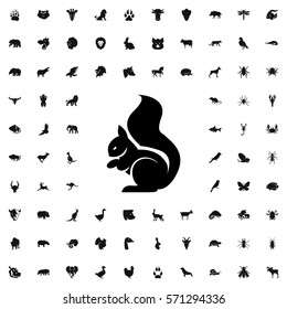 squirrel icon illustration isolated vector sign symbol