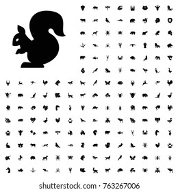 Squirrel icon illustration isolated vector sign symbol. animals icon set for web and mobile.