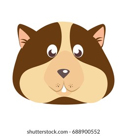 squirrel icon image