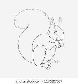 Squirrel icon line element. Vector illustration of squirrel icon line isolated on clean background for your web mobile app logo design.