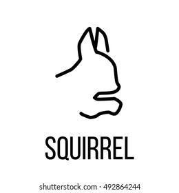 Squirrel icon or logo in modern line style. High quality black outline pictogram for web site design and mobile apps. Vector illustration on a white background. 