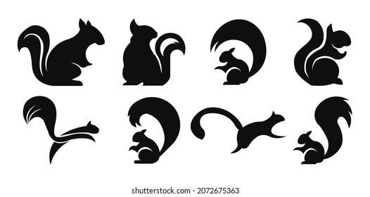 Squirrel icon. Squirrel logo template. Vector