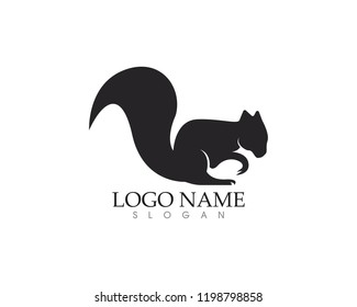 Squirrel icon logo vector illustration