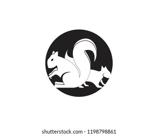 Squirrel icon logo vector illustration