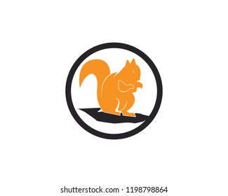 Squirrel icon logo vector illustration