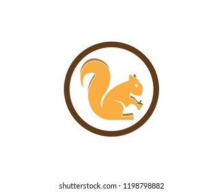Squirrel icon logo vector illustration