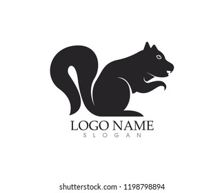 Squirrel icon logo vector illustration