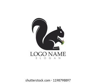 Squirrel icon logo vector illustration
