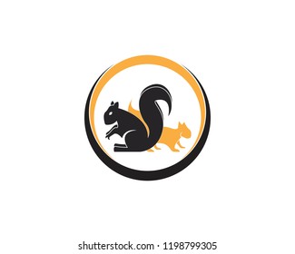 Squirrel icon logo vector illustration