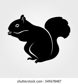 Squirrel icon on a white background