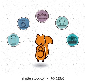 Squirrel and icon set. Animal pet and nature theme. White and texture background. Vector illustration