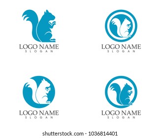 Squirrel icon sign logo