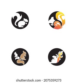 Squirrel icon and symbol vector illustration