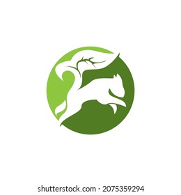 Squirrel icon and symbol vector illustration