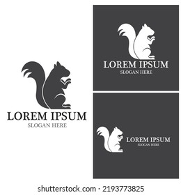 Squirrel icon and symbol vector illustration