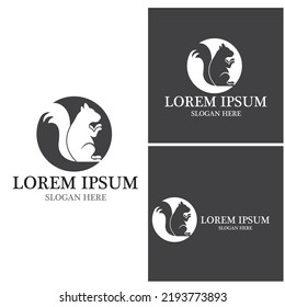 Squirrel icon and symbol vector illustration