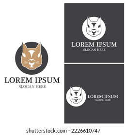 Icono de ardilla e ilustración vectorial de símbolo
