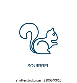 squirrel icon. Thin linear squirrel outline icon isolated on white background. Line vector squirrel sign, symbol for web and mobile