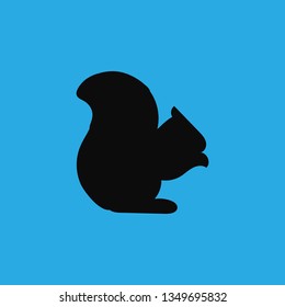 squirrel icon vector