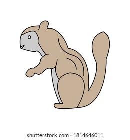 Squirrel icon vector design illustration