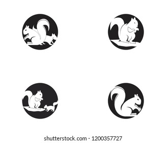 Squirrel icon vector illustration