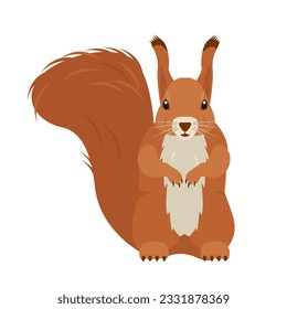 Squirrel icon. Wild mammal forest animal character. Red Squirrel with fluffy tail. Vector illustration on white background.