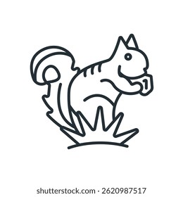 squirrel icons isolated on White Background. Flat style design