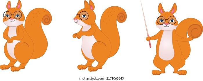 Squirrel Illustration. Animal Teacher 3 View Squirrel. Front View, Side View Animal Illustration. Full Character. Educated Animal.