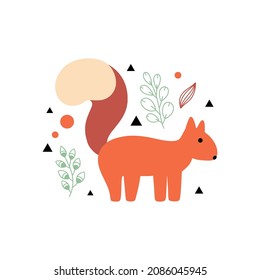 Squirrel illustration. Forest animal. Vector illustration in a flat style