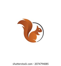 squirrel illustration - golden ratio - graphic illustration with golden ratio - squirrel vector