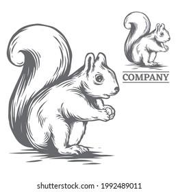 squirrel illustration in hand drawn style, vector file color is easy to edit, can use for logo too