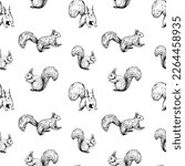 Squirrel illustrations, seamless patten design, hand drawn vector sketch