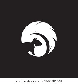 Squirrel image logo symbol vector illustration on black background