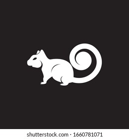 Squirrel image logo symbol vector illustration on black background