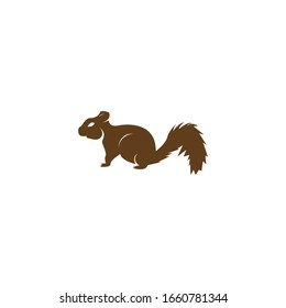 Squirrel image logo symbol vector illustration on white background